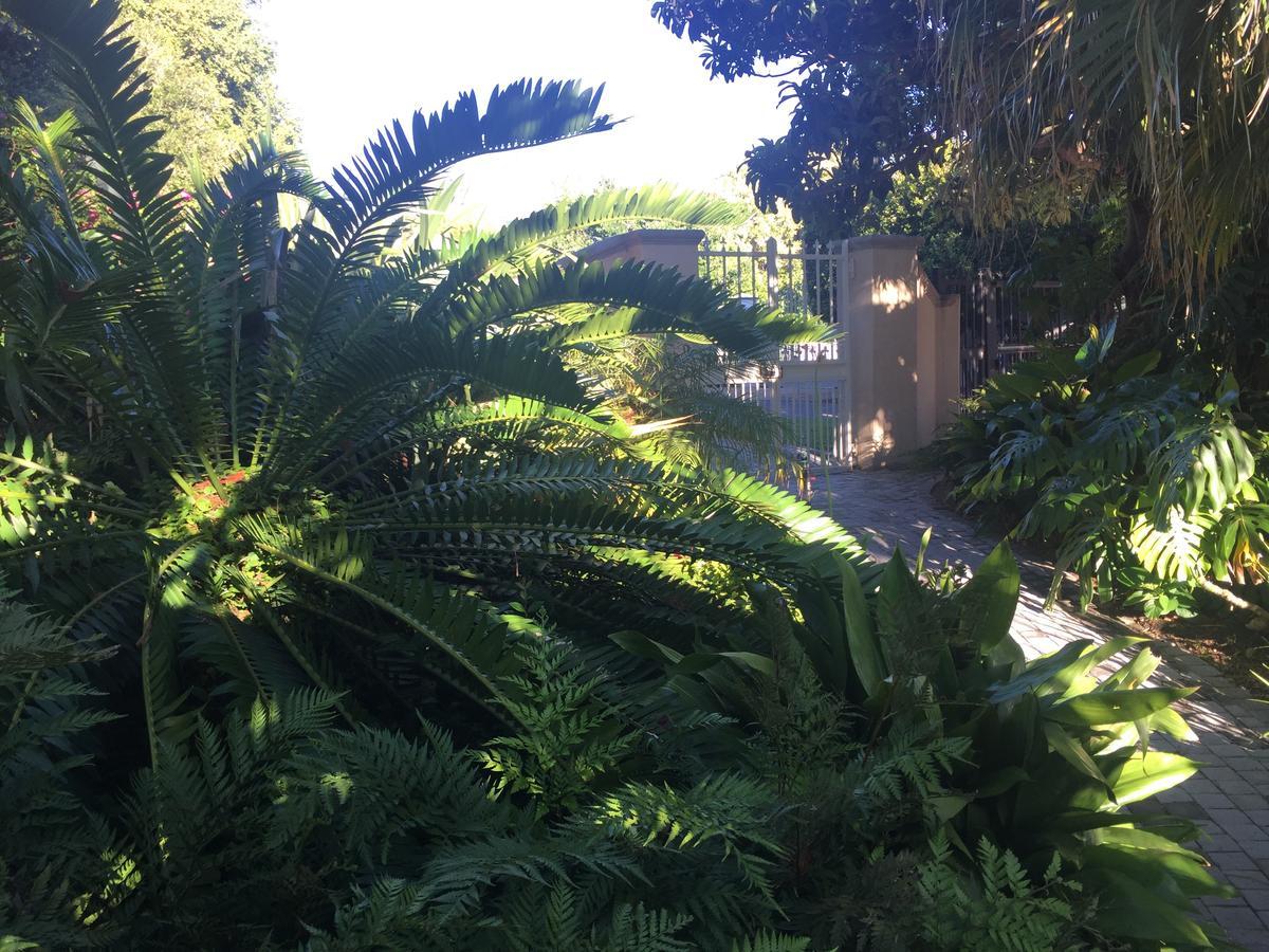 Constantia Valley Lodge Κέιπ Τάουν Εξωτερικό φωτογραφία
