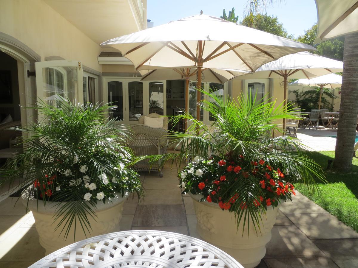 Constantia Valley Lodge Κέιπ Τάουν Εξωτερικό φωτογραφία
