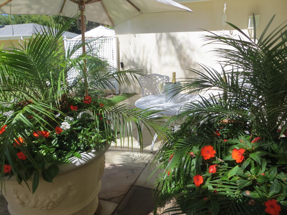 Constantia Valley Lodge Κέιπ Τάουν Εξωτερικό φωτογραφία